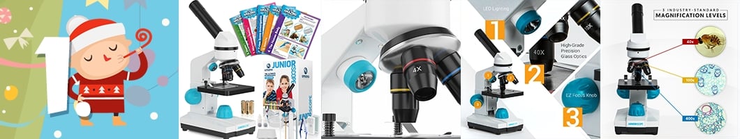 Compound microscope