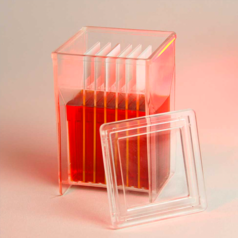 Microscope Slide Staining Jars