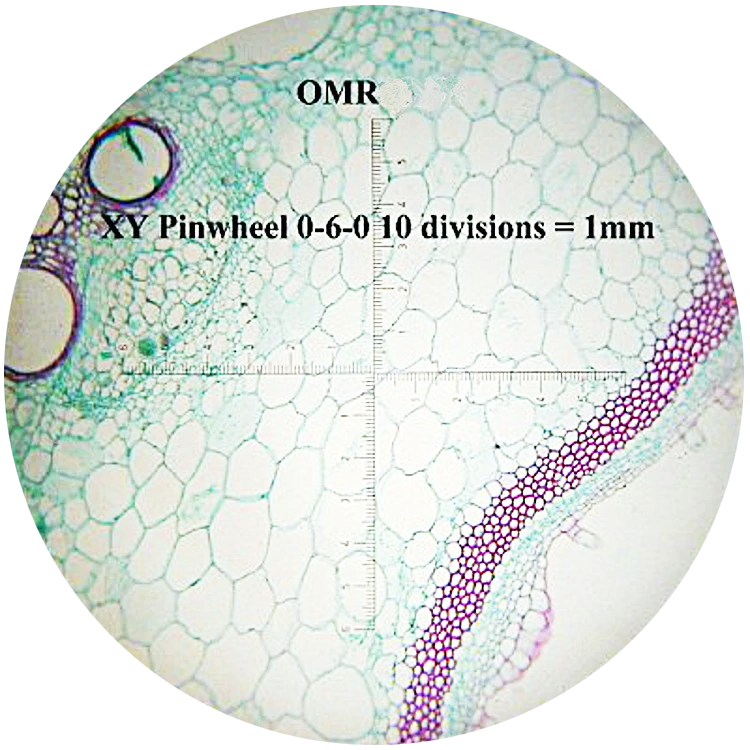 Omano 25mm Cross Linear Reticle